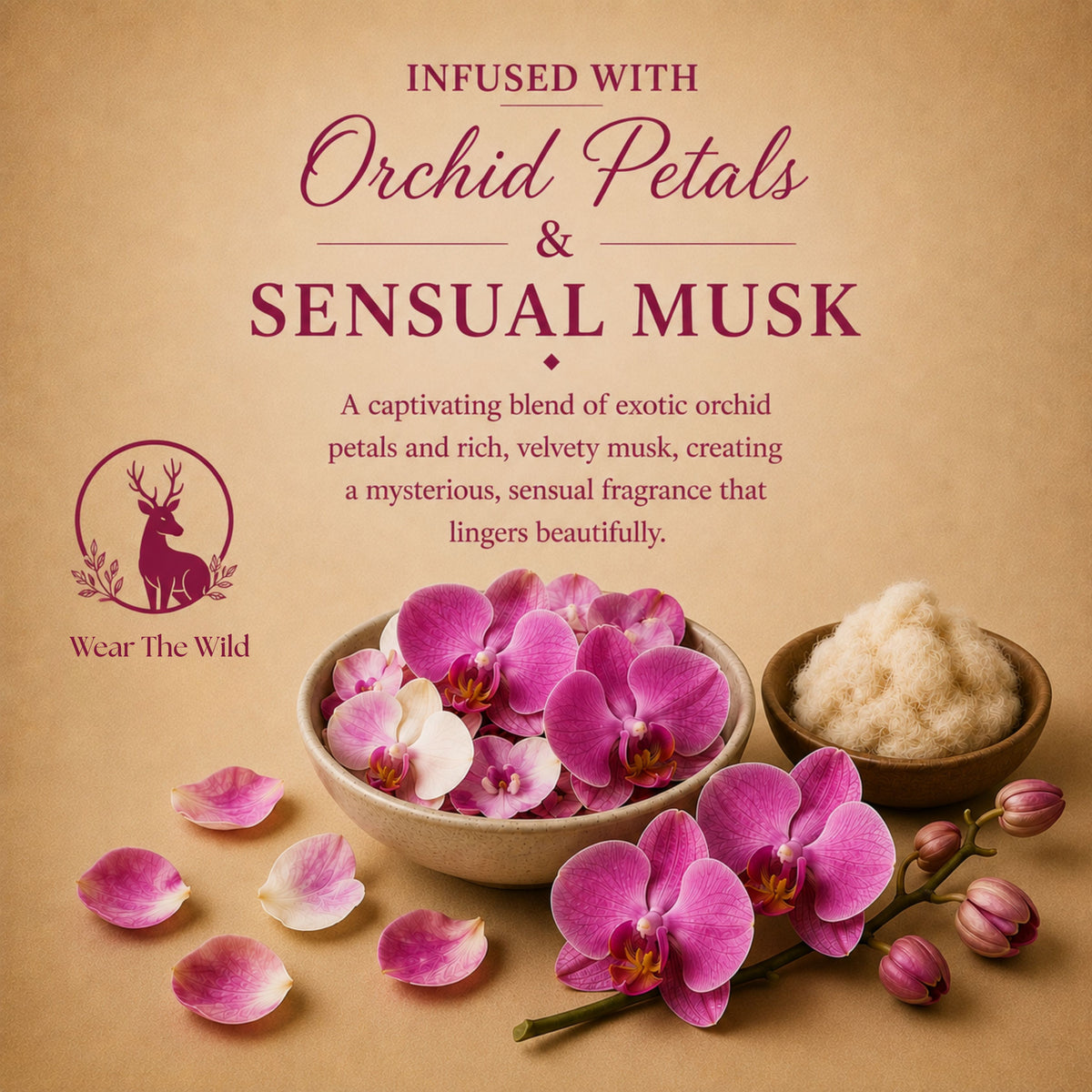 Musk Orchid